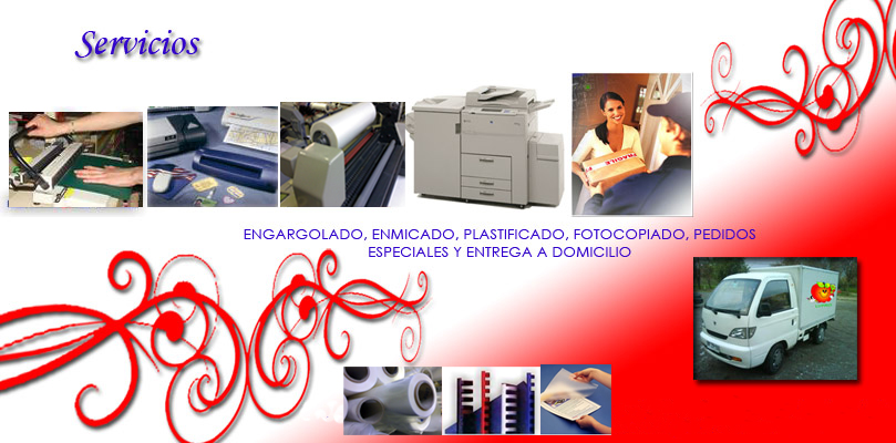 servicios